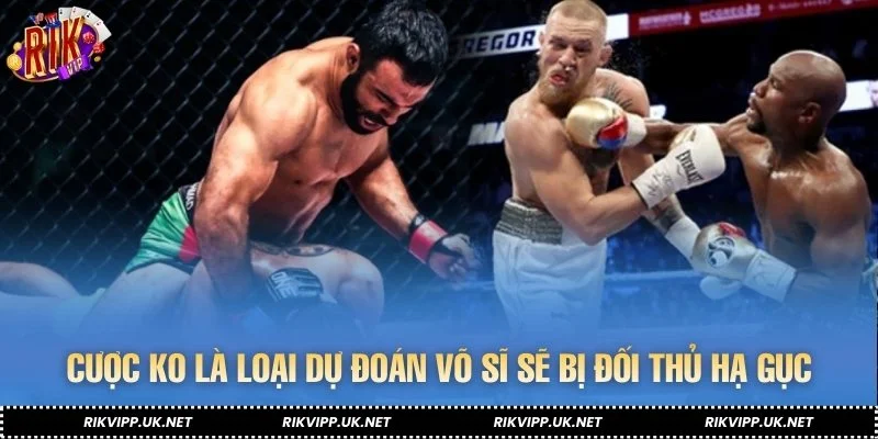 Cược KO là loại dự đoán võ sĩ sẽ bị đối thủ hạ gục