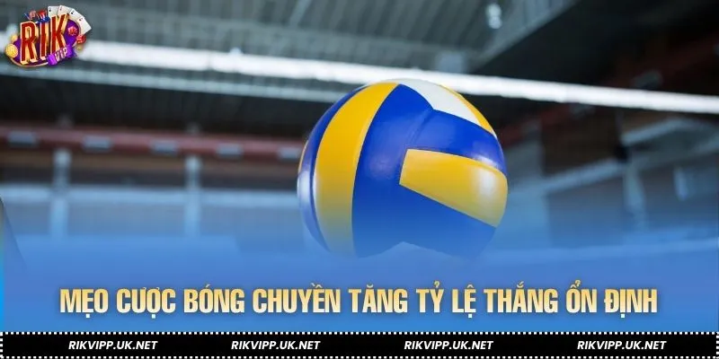 Nắm bắt thông tin kỹ lưỡng trước khi đưa ra lựa chọn