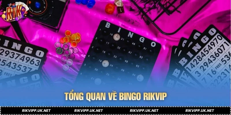 Tổng quan về Bingo RIKVIP