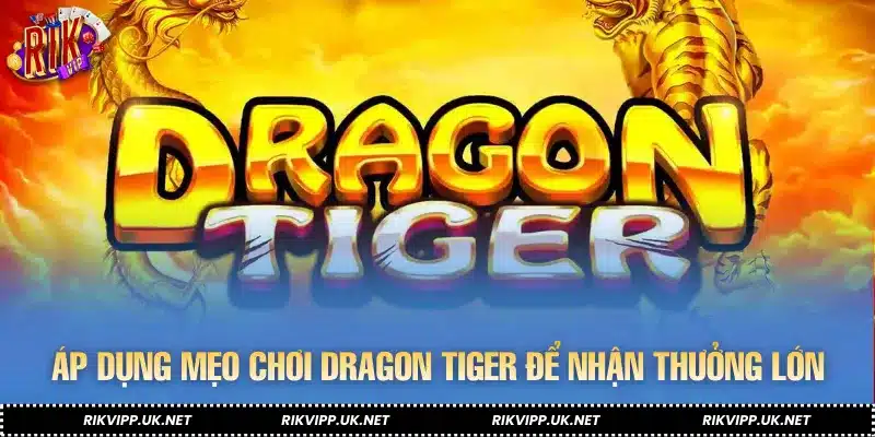 Áp dụng mẹo chơi Dragon Tiger để nhận thưởng lớn