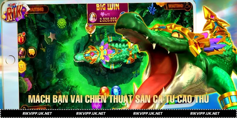 Mách bạn vài chiến thuật săn cá từ cao thủ