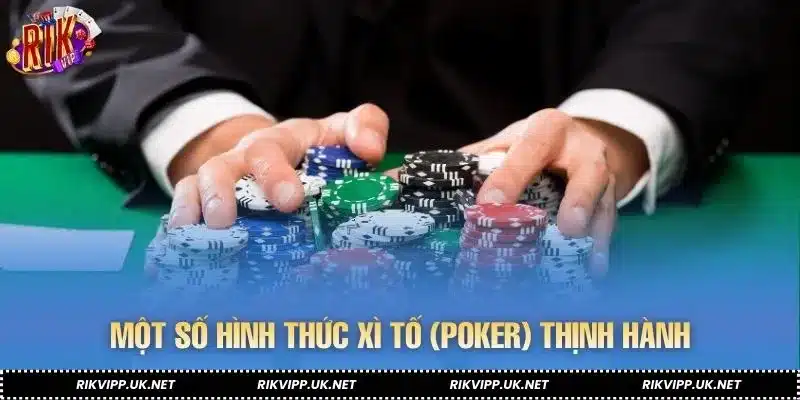 Một số hình thức xì tố (Poker) thịnh hành